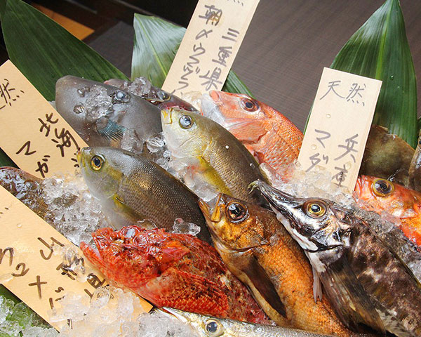 魚